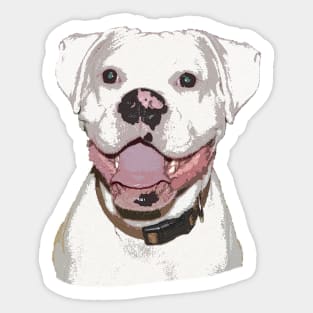 White Boxer Dog Sticker